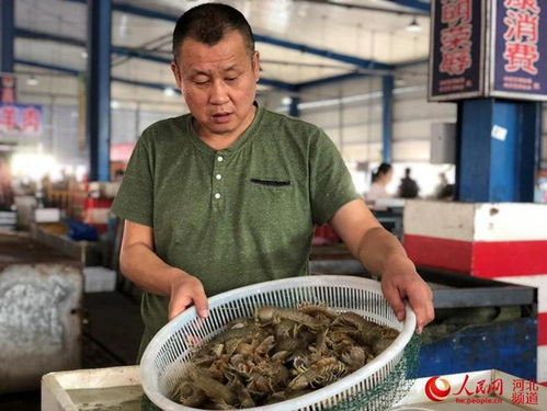 河北丰南 渤海湾畔 海鲜市场供销两旺